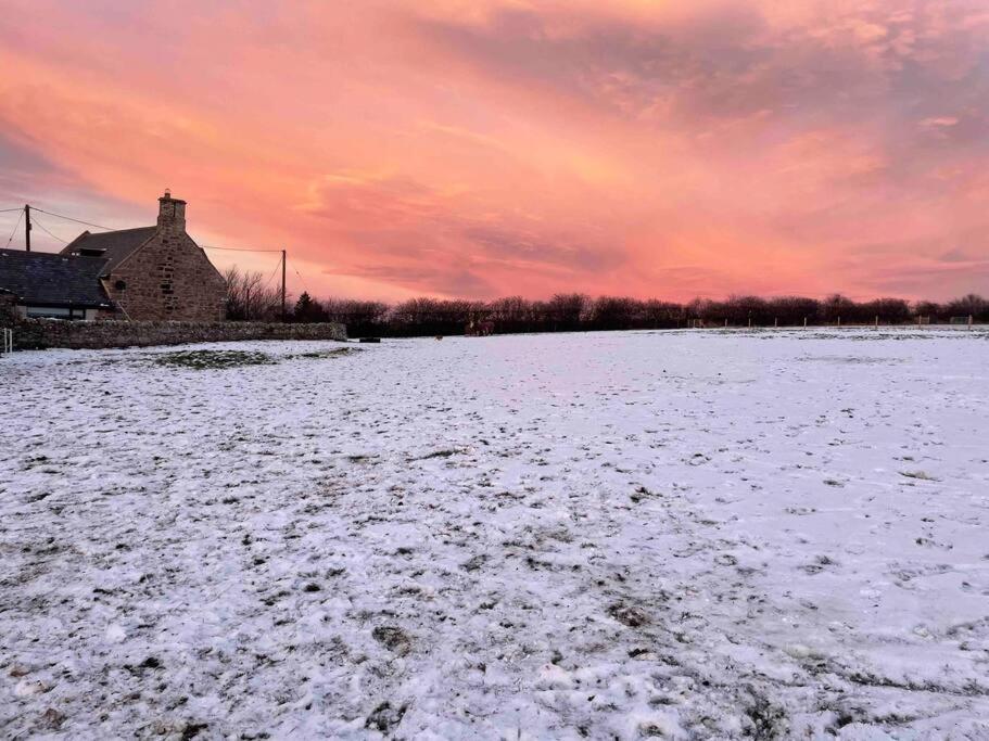 Prior House Farm Villa Berwick Upon Tweed Dış mekan fotoğraf